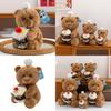 Cuter Teddy Bear Plush Toy With Cake Decoration For Kids And Teens