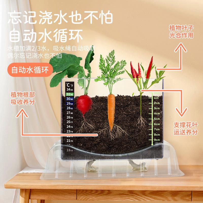 Xueyouma Plant Root System Observation Box Planting Seed Growth Scientific Experiment Handmade Toys Children Primary And Secondary School Students