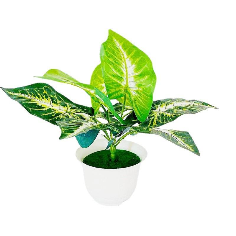 Kunststoff-Blumentopf mit 9 Hufenblatt-Köpfen für Heimdekoration und Innenarchitektur