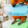 Non-Slip Surface Claw Trimming Perch Multi-Function Pumice Stone Perch  Pet Supplies