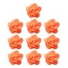 10Pcs Plant Fixing Clips Climbing Vine Wall Fixture Clips with Adhesive Leaf Flower Design Fixing Clips for Indoor Outdoor Pothos Wall Vines