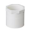 PVC Female Thread Straight Through Connector (Sizes: 20-110)
