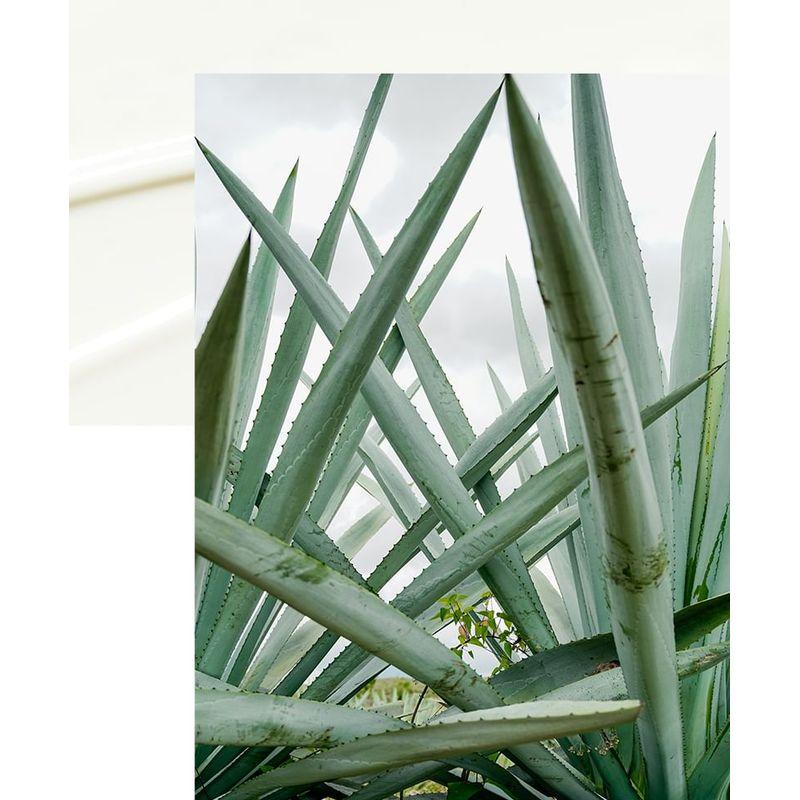 MD'S PICK - Moisture Unscented UV Filter Sunscreen