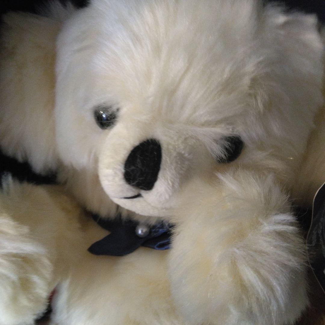 

[USED] Cute fluffy white teddy bear