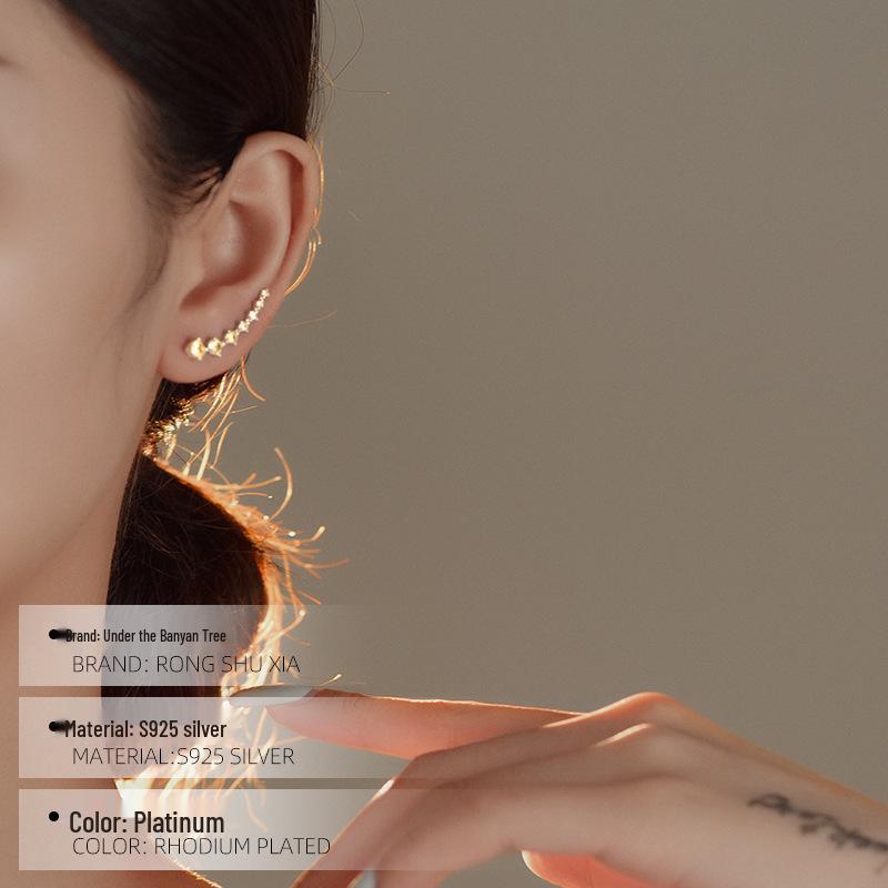 Banyan Tree S925 Silver Zircon Earrings - Elegant & Stylish Ear Hooks for Women