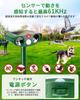 Toauo Ultrasonic Cat Animal Bird Popular Dog Cat Rodent 10m Detection Alarm PIR Infrared Long Standby Cat Pest Green Repellent, Solar-Powered,