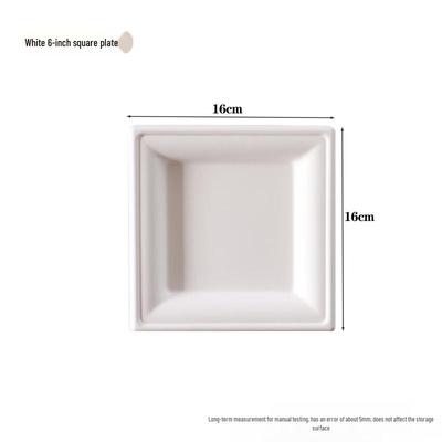 Yipan 6-inch Square Biodegradable Disposable Bagasse Plates