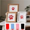 Pet Paw Print Memorial Frame with Wash-Free Ink Pad for Cats and Dogs