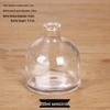 Halbkreisförmige Glas-Hydrokultur-Blumenvase