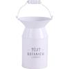 Bestco Pot S White with Plastic Cup, Drainage Hole, Tin NE-746 Botanical Garden