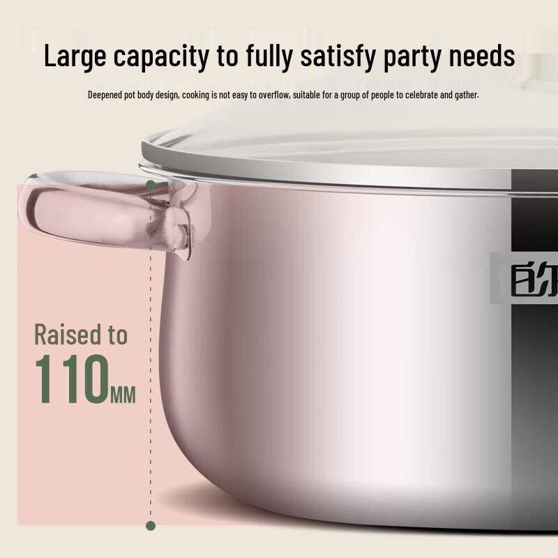 Boernice Earl 30cm Edelstahl Dampfgarer Topf