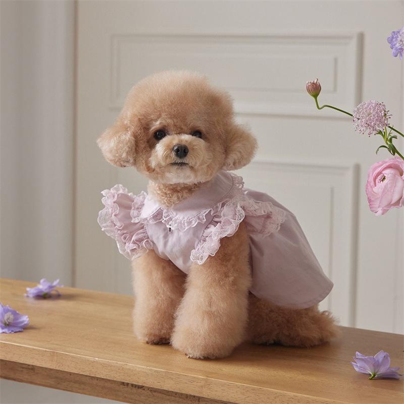 Pet Spring Lace Flying Sleeve Lady Dress Teddy Collar Dress Dog Clothes for Small Dogs T-shirt Puppy Clothes