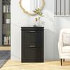 Two-Drawer Minimalistic 10-Shoe Cabinet - Black