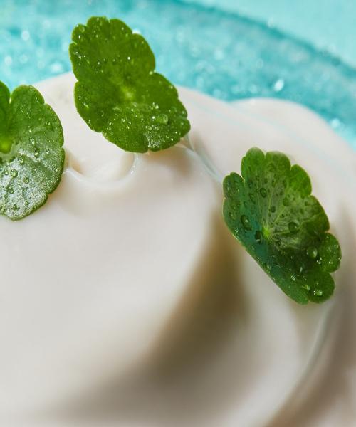 Neogen Hyal Exosome Cream 40ml