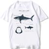 Whale Shark Anatomy Biology Tshirt Unisex Women Hip Hop Casual T Shirts Women Beach Diving White Tshirt Vintage Women Tees