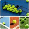 Portable Tennis Ball Picker: Professional Quick Press-Down Ball Retriever, Convenient Pick-Up Basket Gadget.