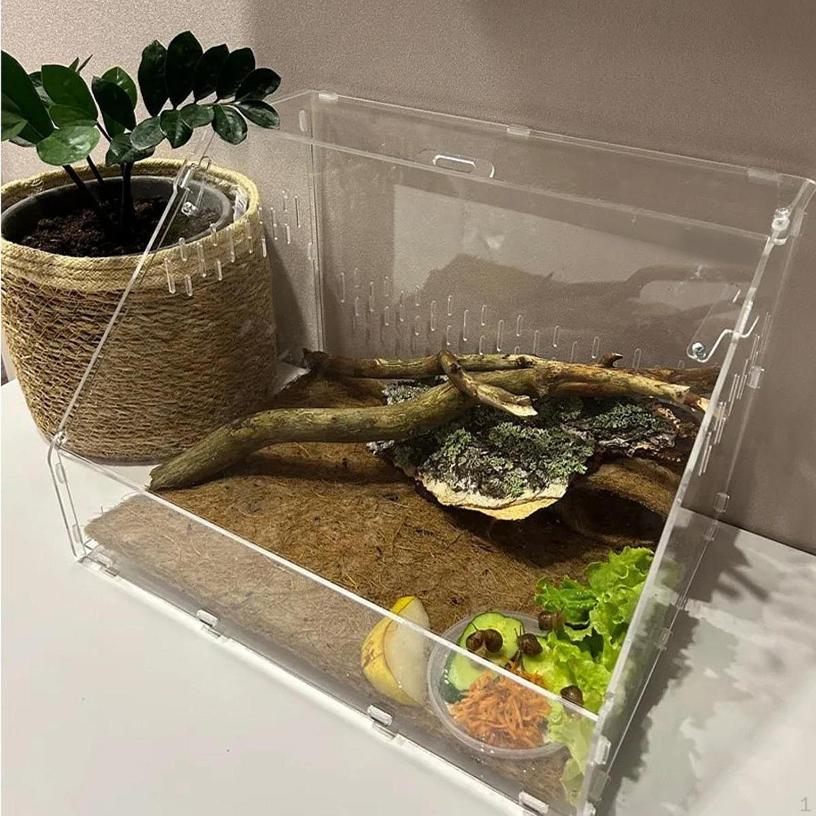 

Инкубатор для рептилий, контейнер для вылупления, прозрачный террариум для змей L