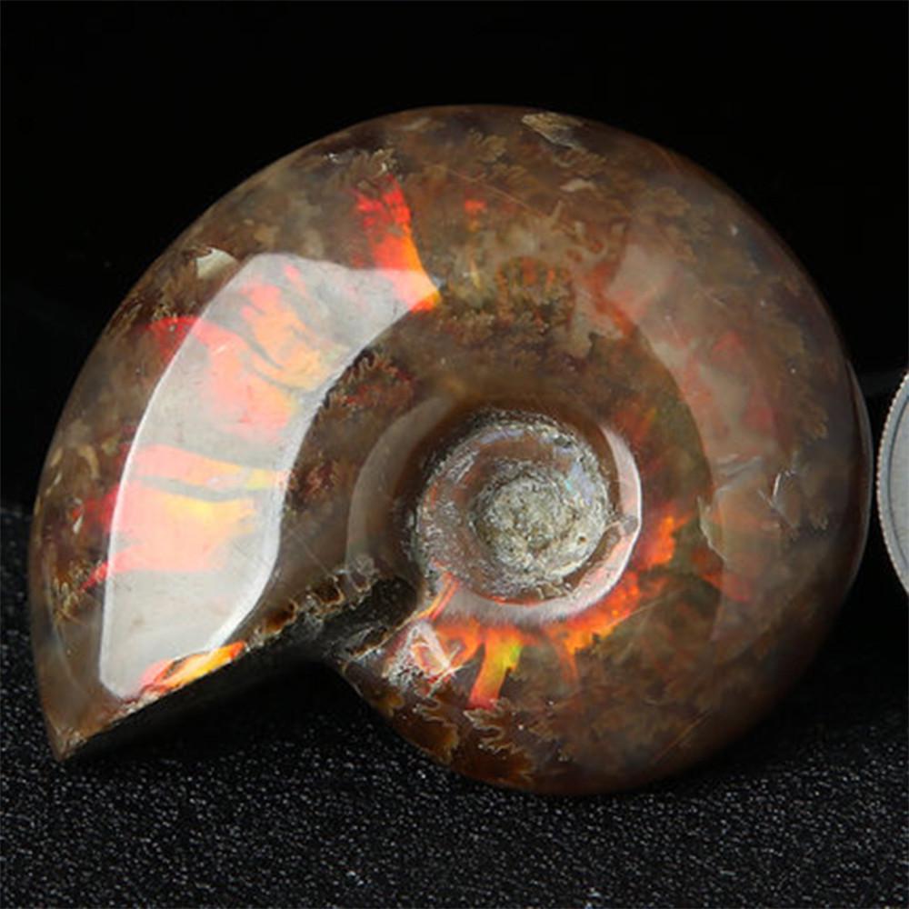 Luck Mascot Madagascar Stone Collectibles Iridescent Specimen Natural Ammonite