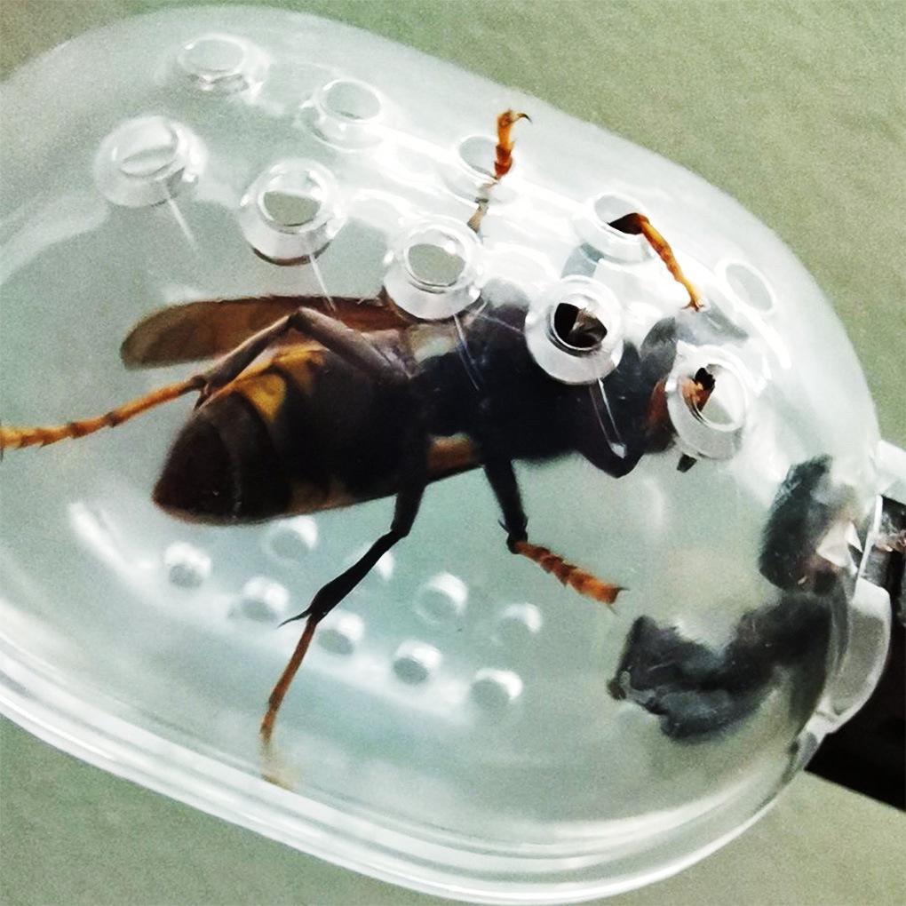 Portable Scissor-Type Transparent Queen Bee Catcher