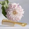 LOVECHROME K24GP Kopfhaut Guasha Gold Kopfhaut Gesicht Schönes Seidiges Haar LOVECHROME K24GP GOLD (R) [Offizieller Shop] Pflege, Pflege, Haare, Kamm, / (R)