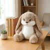 Cute Long-ear Rabbit Plush Toy with Changeable Expressions. Perfect for Cuddling, Decor and Holiday & Birthday Gifts.