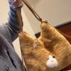 Cute Cute Kitten Backpack Large Capacity Plush Commuter Shoulder Bag Travel Tote Bag One Pack and Multiple Backs