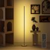 LED Floor Lamp Living Room with Adjustable Color Temperature for Bedroom, Office, 20 x 20 x 150 cm