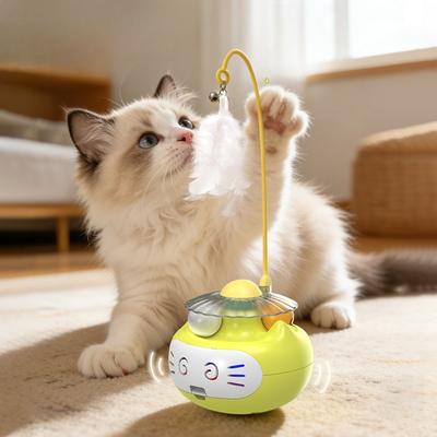 Katten – Speelgoed voor katten