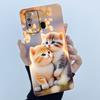 For Itel Vision 3 Vision 1 Pro Case Back Cover Cat Soft Silicone Camera Protector Case For Itel Vision3 V1sion1 Pro Coque Bumper