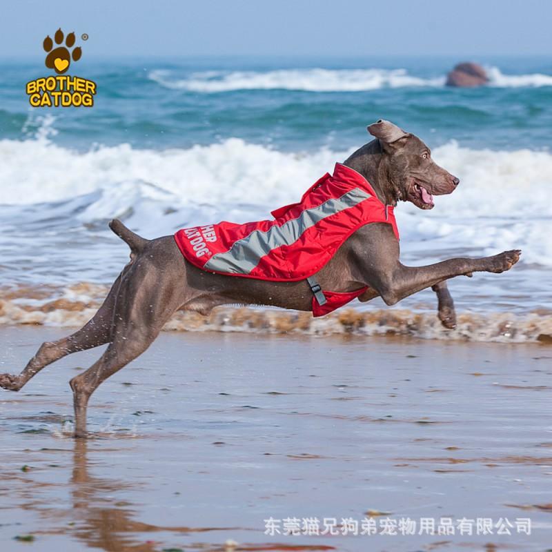 Winter Pet Dog Coat Large Breeds Golden Retriever Labrador Border Collie Nylon Warm Hooded Jacket In Red Blue Purple