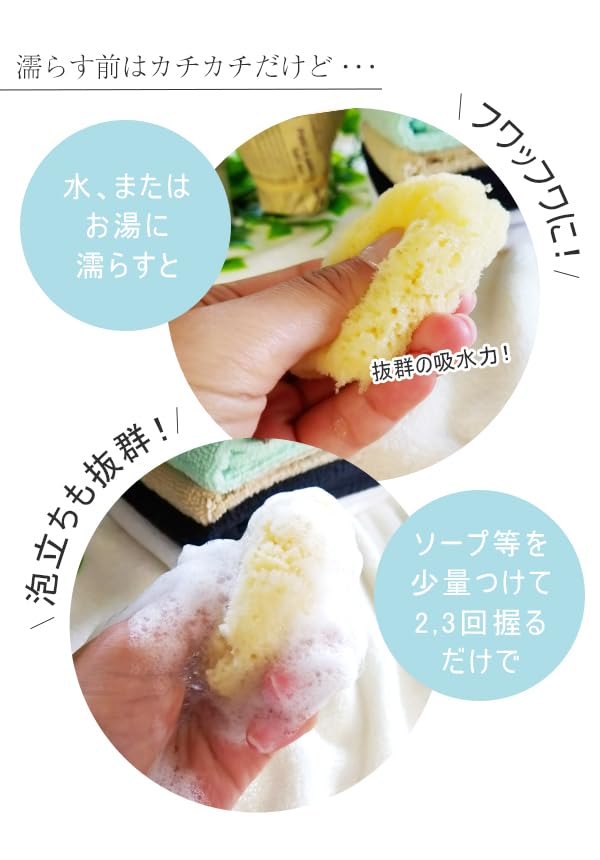 Sanitary Commercial Natural Individually Face Delicate Zone [12 Pieces] Sponge, Product, Sponge, Use, Sponge, Wrapped, Ziplock, Sanitary, Absorbent,