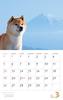 Calendar 2023 Shiba Inu (Month Flip/wall Hanging) (Yamakei Calendar 2023)