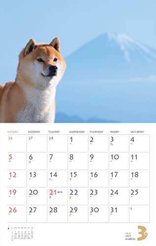 Calendar 2023 Shiba Inu (Month Flip/wall Hanging) (Yamakei Calendar 2023)