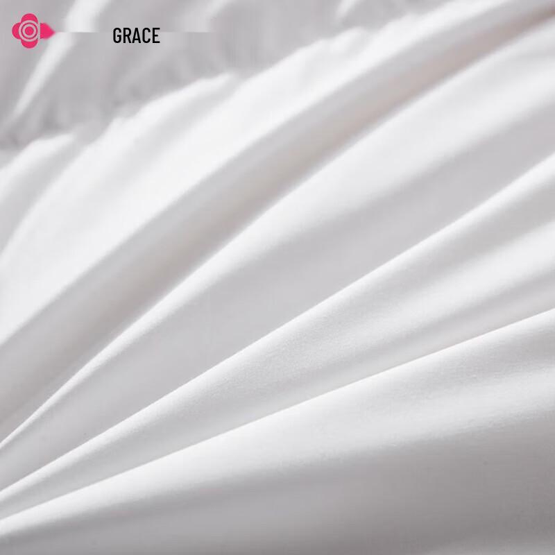 JELIA Royal Series All-Season Quilted Comforter