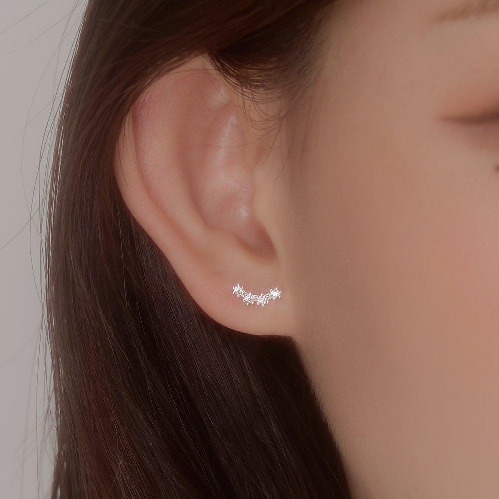925 Silver Dali Earrings W