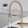Brushed Gold Pull Out Kitchen Faucet Gold Kitchen Sink Mixer Tap Total Brass Kitchen Faucet Vanity Water Tap Faucet Sink Faucet
