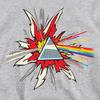 Pink Floyd Childrens/Kids Dark Side Of The Moon Immersion Pop Art Heather Hoodie