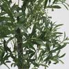 Olivenbaum LED Dekorative Lampe