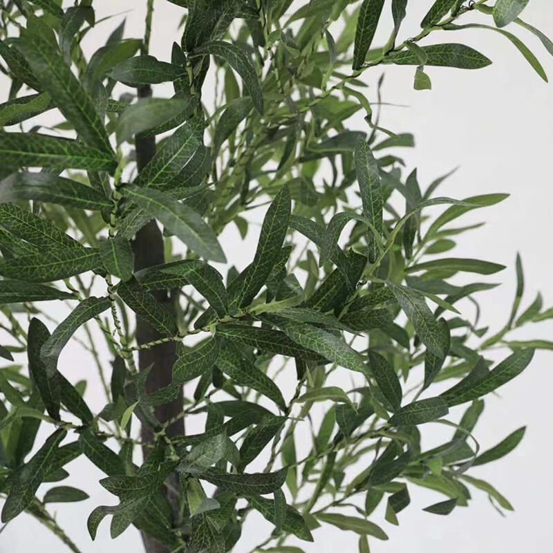 Olivenbaum LED Dekorative Lampe