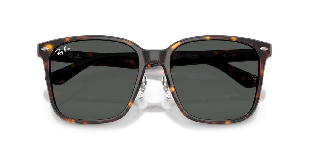 Sunglasses 0RB2206D HAVANA DARK GREY Asian Fit Polarized [Ray-Ban] 710/8757