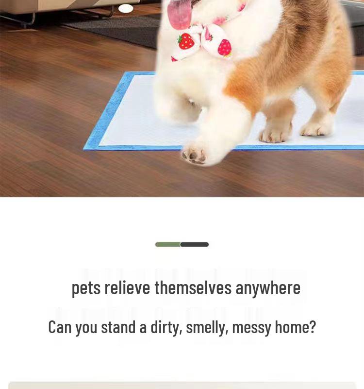 Thickened, Deodorizing Pet Training Pads - Absorbent, Leak-Proof, Disposable Dog & Cat Diapers