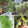 Housse Filet Anti-Insect pour Arbres Fruitiers Conçue Pour Protéger les Plantes des Ravageurs Oiseaux dans le Jardin Convient Pour Fruits Légumes Protection des Cultures
