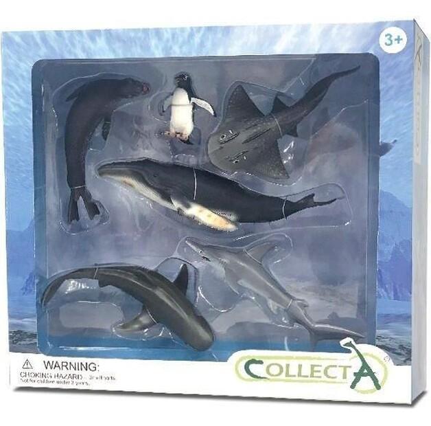 Dante Constructor Sea Animals, 6 Pieces