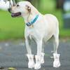 2 Pieces Dog Boots Paw Socks Protector Hiking Waterproof Disposable Booties