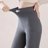 Spring Autumn Winter Women's Gray Vertical Stripe Fleece Lined Thick Warm Outer Wear Pantyhose & Black Compression Slimming Leggings