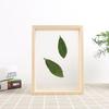 Family Wedding Decor Vintage Art Plant Specimen Wooden Picture Holder Photo Frame
