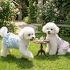 Lace Strap Pet Lace Dress Bow Knot Dog Puff Skirt Dog Princess Dress  Outdoors Activities