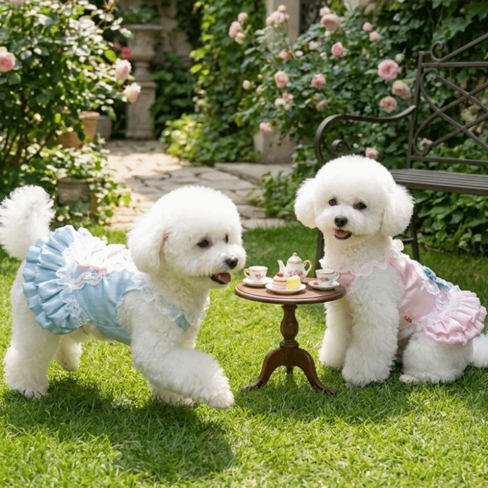 Lace Strap Pet Lace Dress Bow Knot Dog Puff Skirt Dog Princess Dress  Outdoors Activities