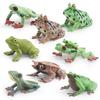 Lebensechte Amphibien-Frosch-Figuren-Sammlung mit detaillierten Merkmalen und lebendigen Farben