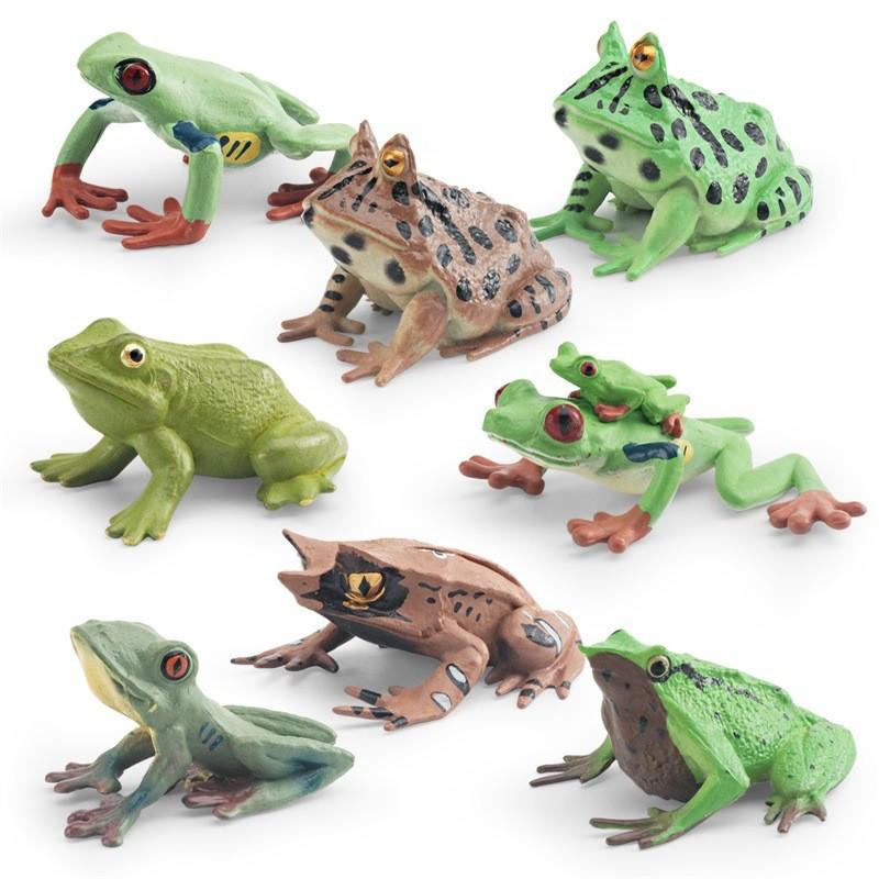 Lebensechte Amphibien-Frosch-Figuren-Sammlung mit detaillierten Merkmalen und lebendigen Farben